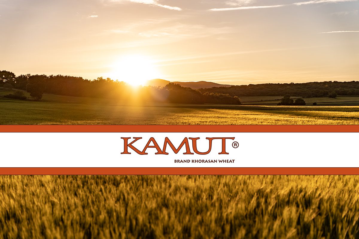 Kamut hero
